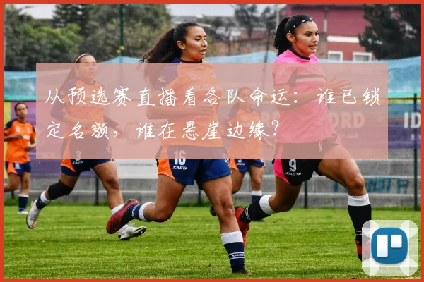 从预选赛直播看各队命运：谁已锁定名额，谁在悬崖边缘？