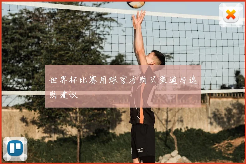 世界杯比赛用球官方购买渠道与选购建议