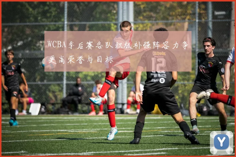WCBA季后赛各队积极补强阵容力争更高荣誉与目标