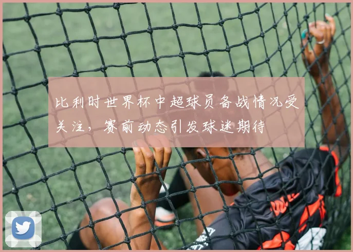 比利时世界杯中超球员备战情况受关注，赛前动态引发球迷期待