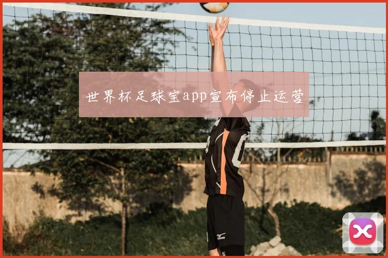 世界杯足球宝app宣布停止运营
