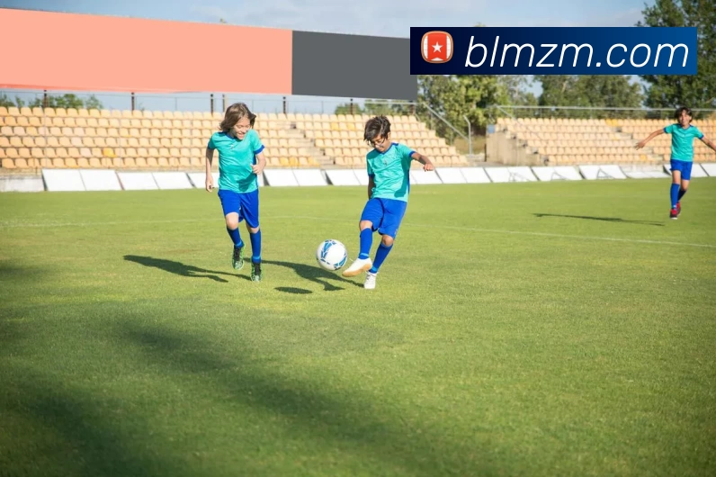 多媒体互动体验